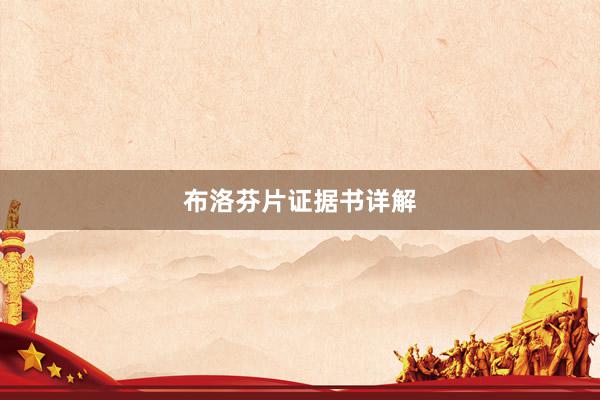 布洛芬片证据书详解